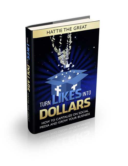 Product picture Turn Likes Into Dollars